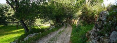 ACP- Almancil – Boliqueime