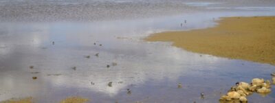 ACP- Almancil – Quinta do Lago