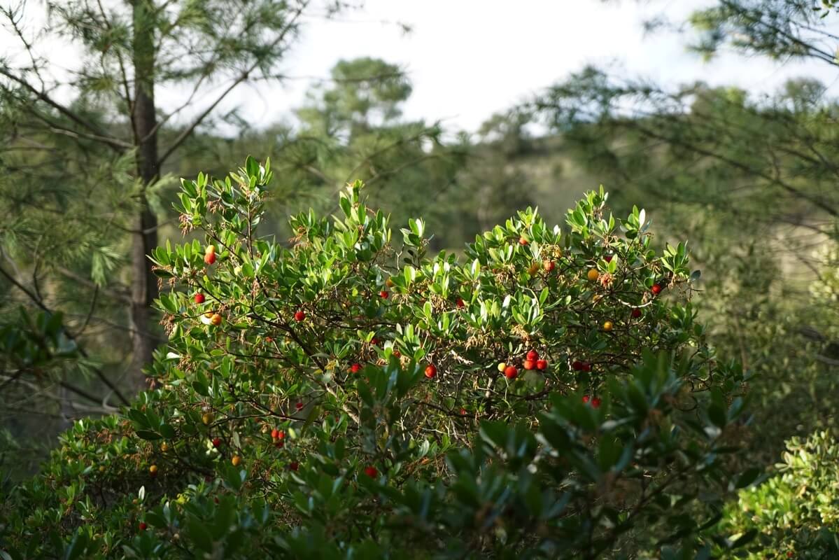 You are currently viewing Andar, Correr , Pedalar